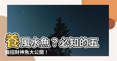 魚數目 風水|陽宅風水【養風水魚】要養幾多條？